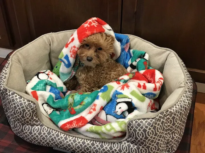 Ridge Animal Hospital Picture 5