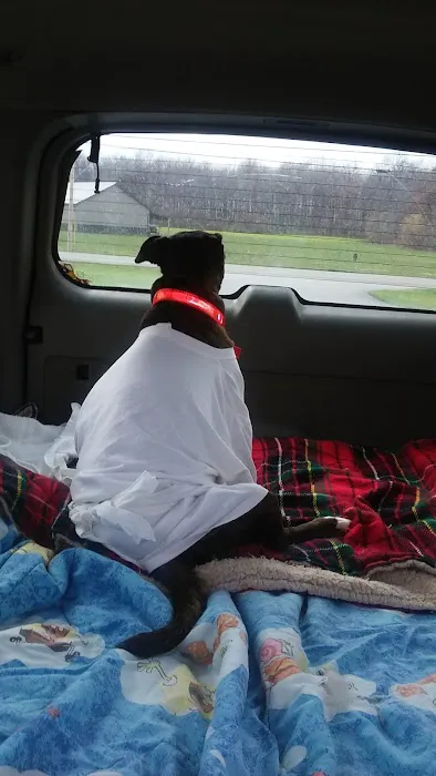 Ridge Animal Hospital Picture 6