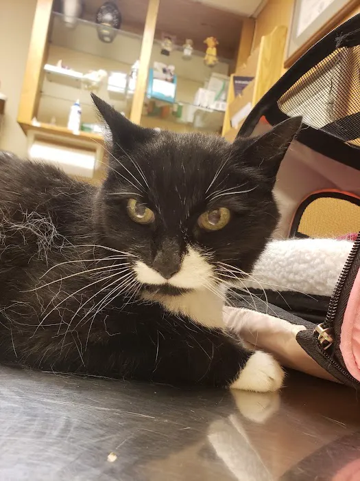 Apple Country Veterinary Hospital Picture 2