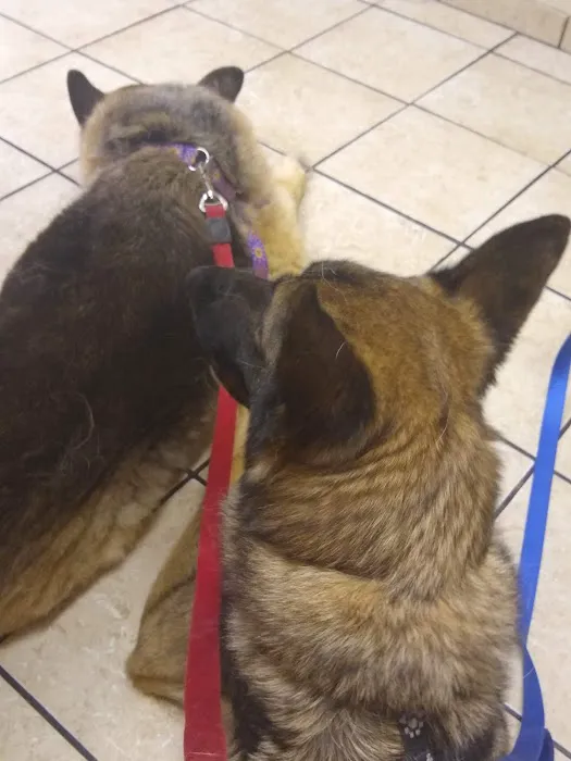 Apple Country Veterinary Hospital Picture 1