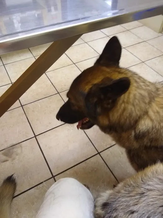 Apple Country Veterinary Hospital Picture 6