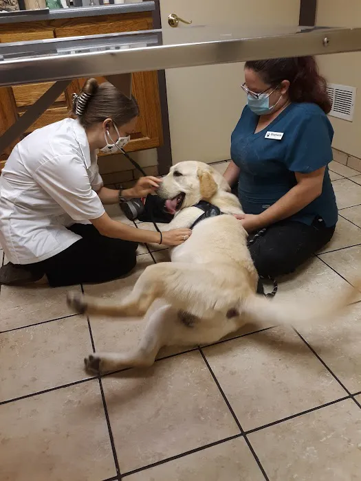 Apple Country Veterinary Hospital Picture 10