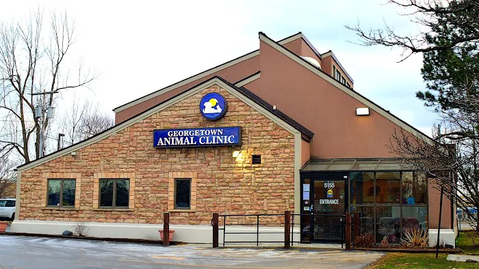 Georgetown Animal Clinic, PC Picture 1