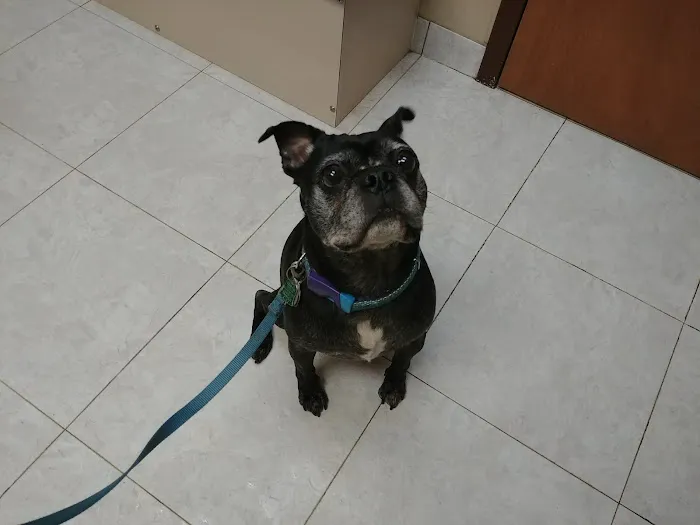 Amclare Veterinary Hospital Picture 5