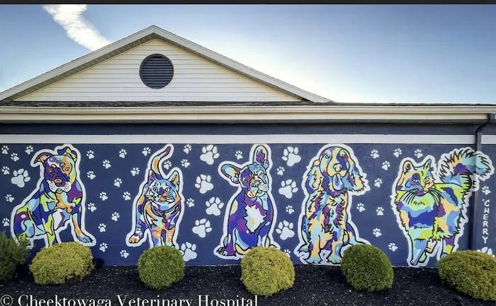 Cheektowaga Veterinary Hospital Picture 3