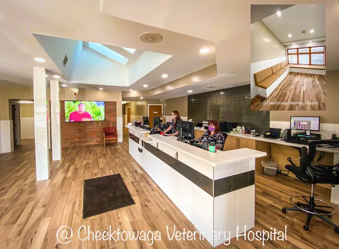 Cheektowaga Veterinary Hospital Picture 6
