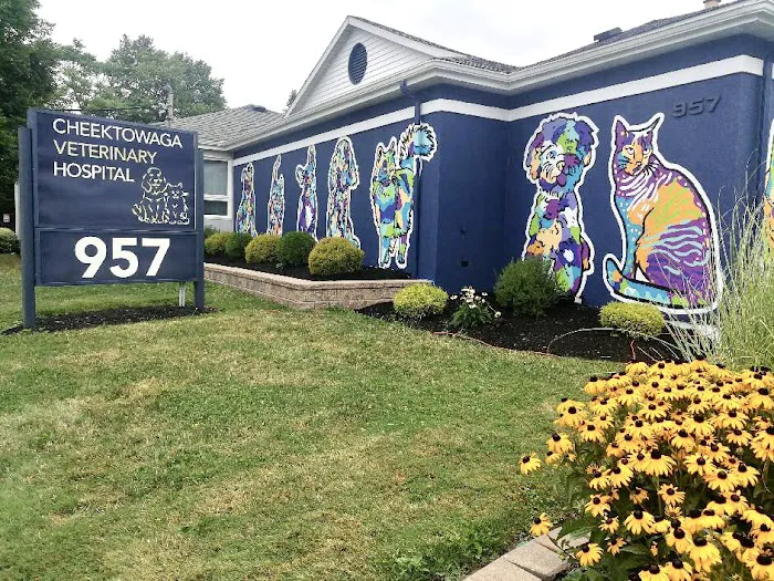 Cheektowaga Veterinary Hospital Picture 2
