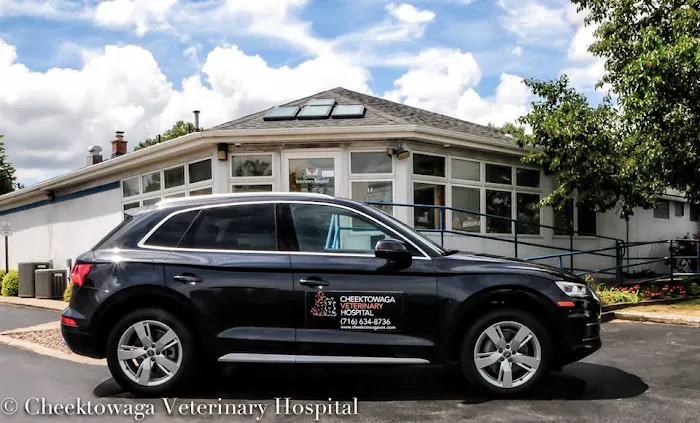 Cheektowaga Veterinary Hospital Picture 10