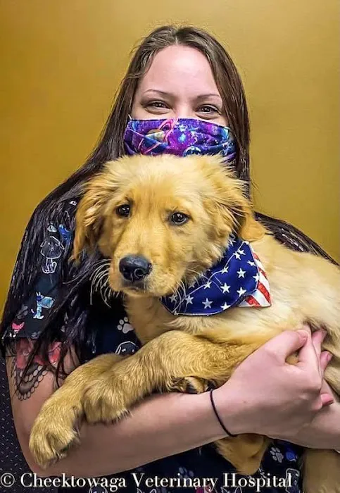 Cheektowaga Veterinary Hospital Picture 7
