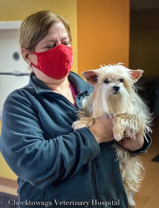 Cheektowaga Veterinary Hospital Picture 8
