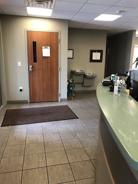 Town & Country Animal Clinic Picture 2
