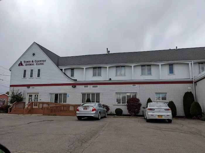 Town & Country Animal Clinic Picture 1