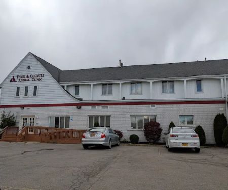 Town & Country Animal Clinic