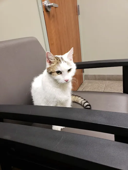Town & Country Animal Clinic Picture 4