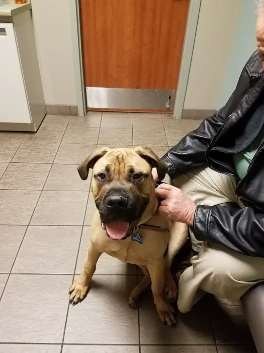Town & Country Animal Clinic Picture 8