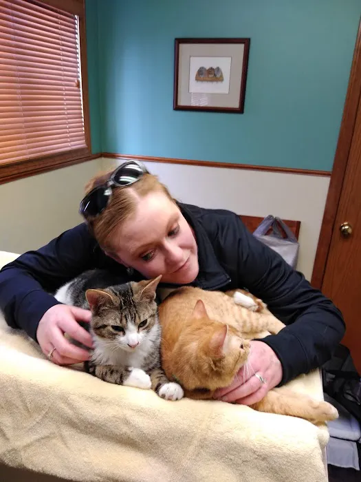 Amherst Small Animal Hospital Picture 6