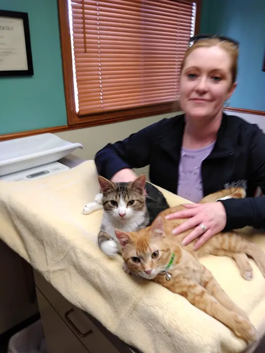 Amherst Small Animal Hospital Picture 4