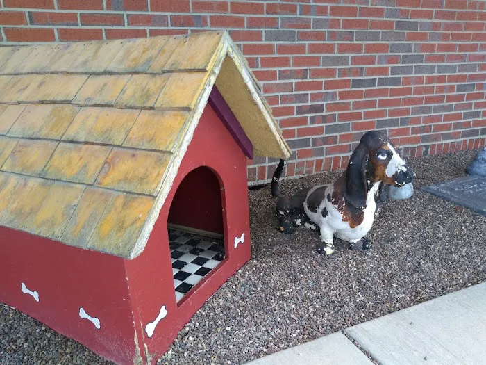 Transit Valley Animal Hospital Picture 1