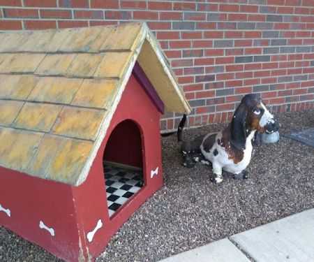 Transit Valley Animal Hospital