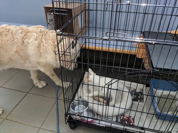 Transit Valley Animal Hospital Picture 3