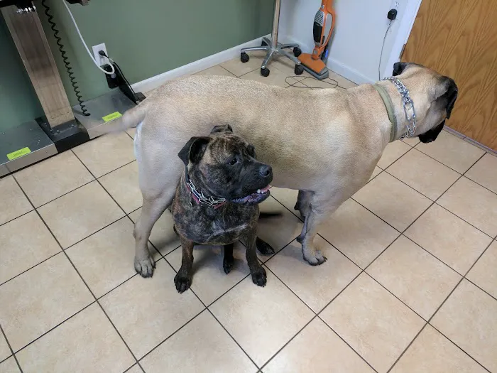 Millersport Small Animal Clinic Picture 2