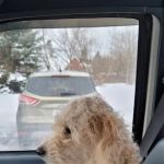 Millersport Small Animal Clinic
