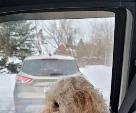 Millersport Small Animal Clinic