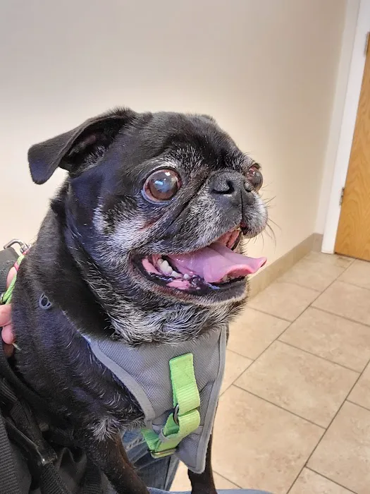 Millersport Small Animal Clinic Picture 10