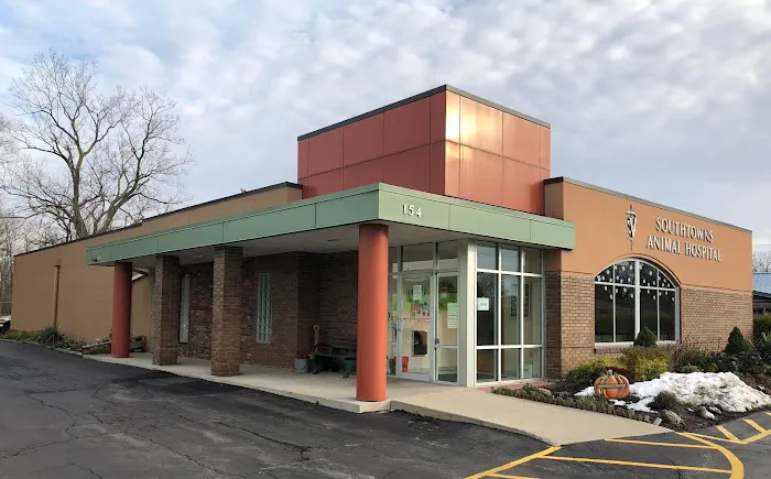 Southtowns Animal Hospital Picture 1