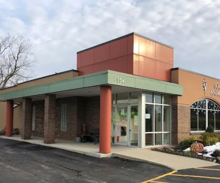 Southtowns Animal Hospital