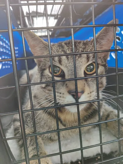 Operation Pets Spay/Neuter Picture 1