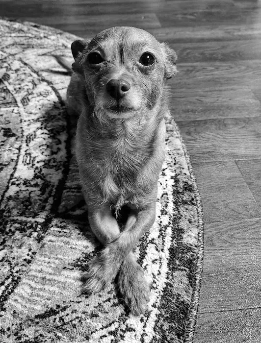 Banfield Pet Hospital Picture 2