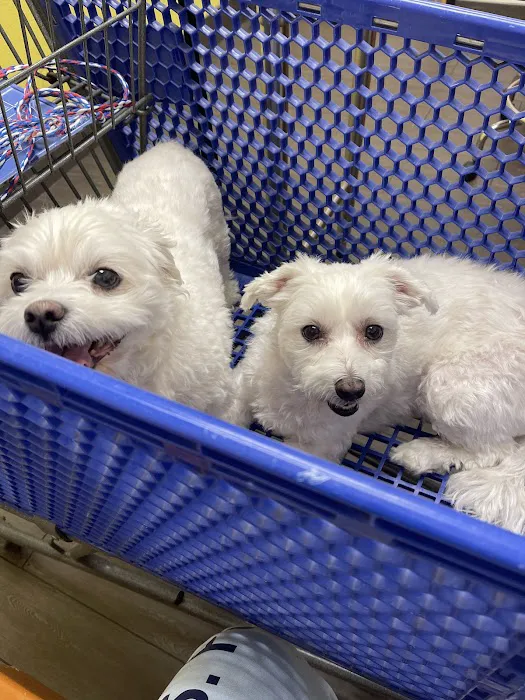 Banfield Pet Hospital Picture 9
