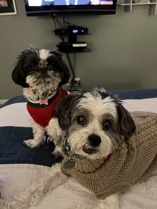 Banfield Pet Hospital Picture 4