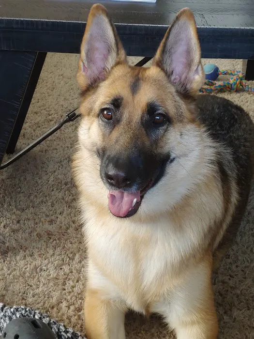 Banfield Pet Hospital Picture 10