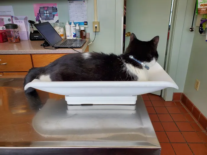 Falconer Veterinary Clinic Picture 2
