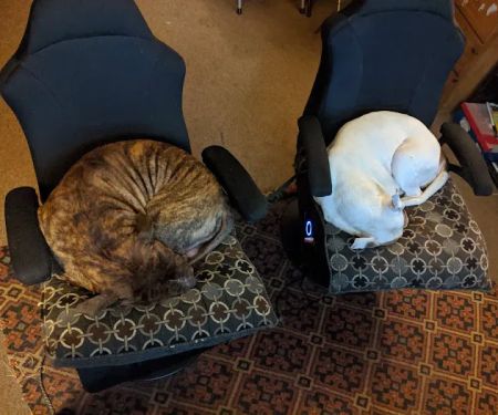 Moonbrook Veterinary Hospital
