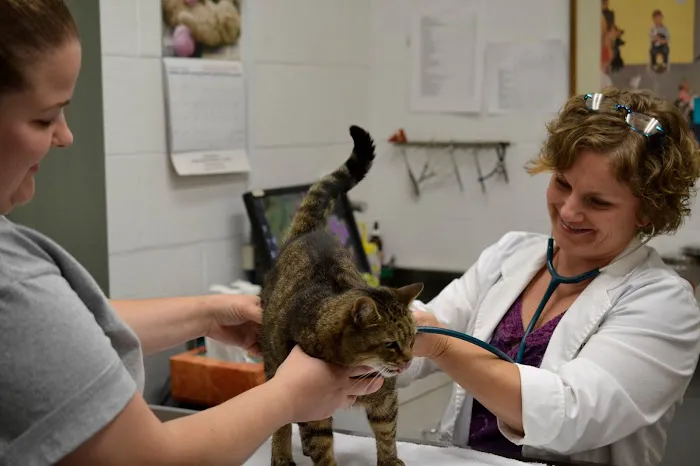 Jamestown Veterinary Hospital Picture 2