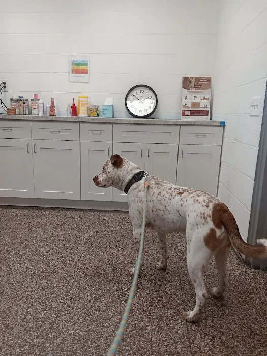Jamestown Veterinary Hospital Picture 7