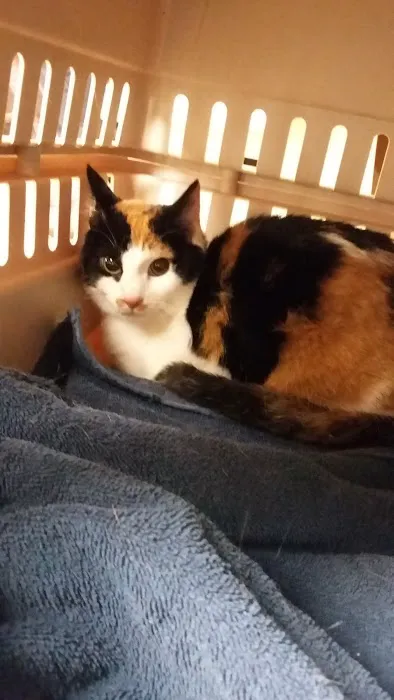 Russell Veterinary Hospital Picture 5
