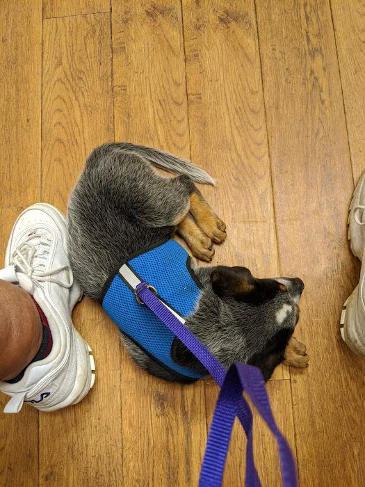 Russell Veterinary Hospital Picture 4