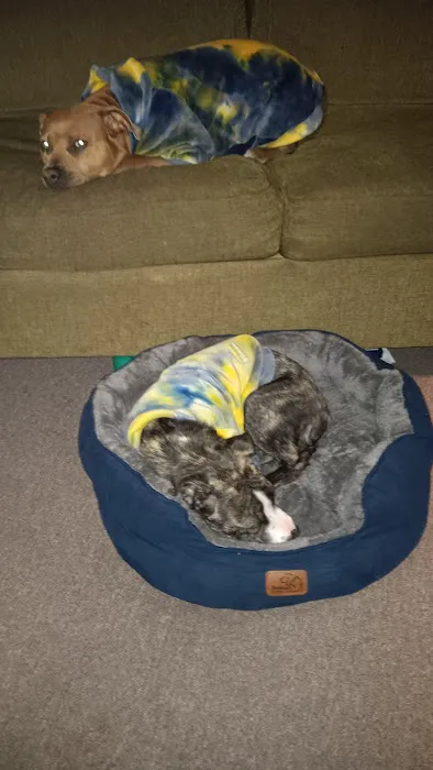 Russell Veterinary Hospital Picture 8