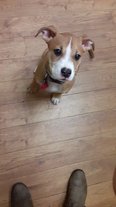 Russell Veterinary Hospital Picture 7