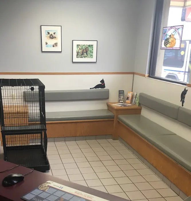 Community Pet Care Hospital Picture 4