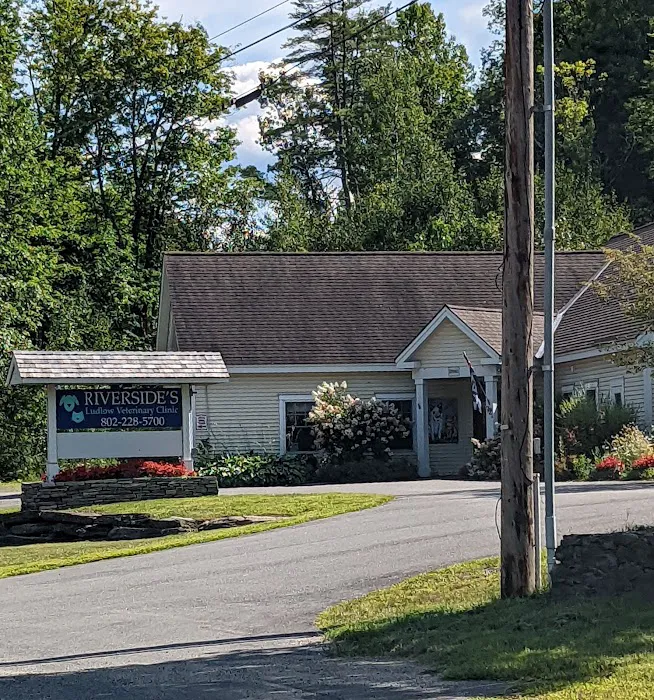 Riverside's Ludlow Veterinary Clinic Picture 2