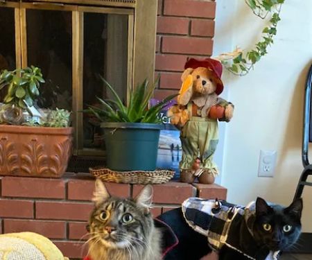 West River Valley Veterinary Service
