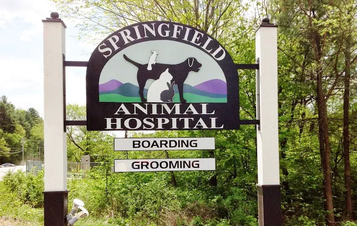 Springfield Animal Hospital Picture 6