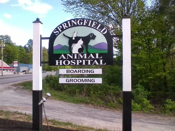 Springfield Animal Hospital Picture 2