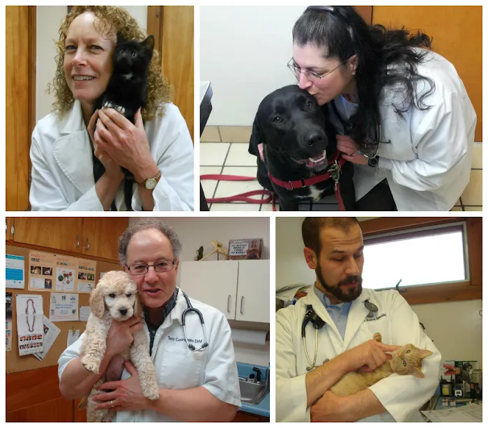Springfield Animal Hospital Picture 8