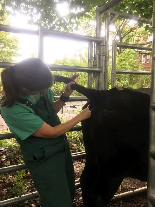 Clover Acres Livestock Veterinary Services Picture 6